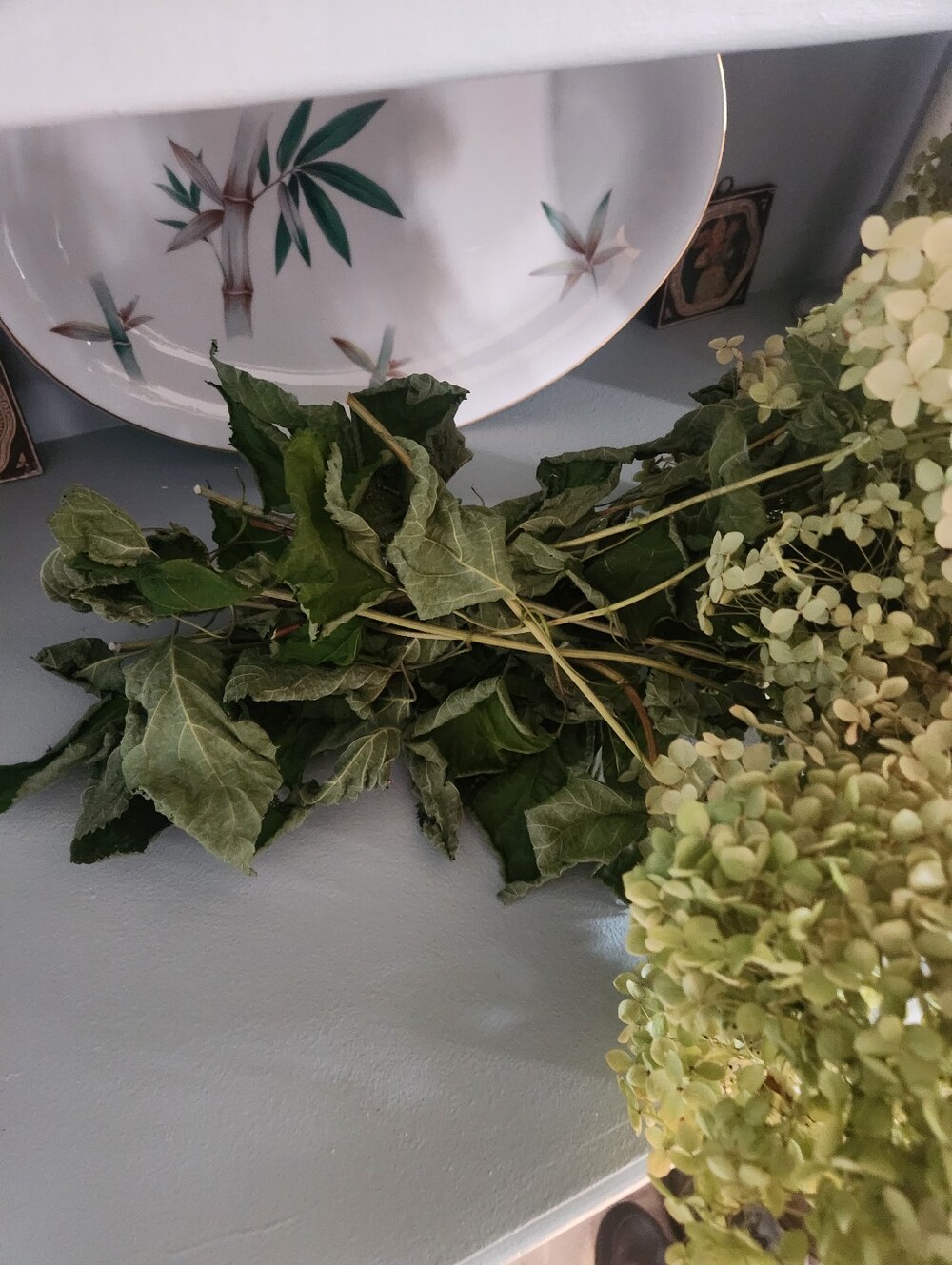 Over 6 Stems Of Real Fragile Dried Annabelle Hydrangeas - Picture 4 of 4